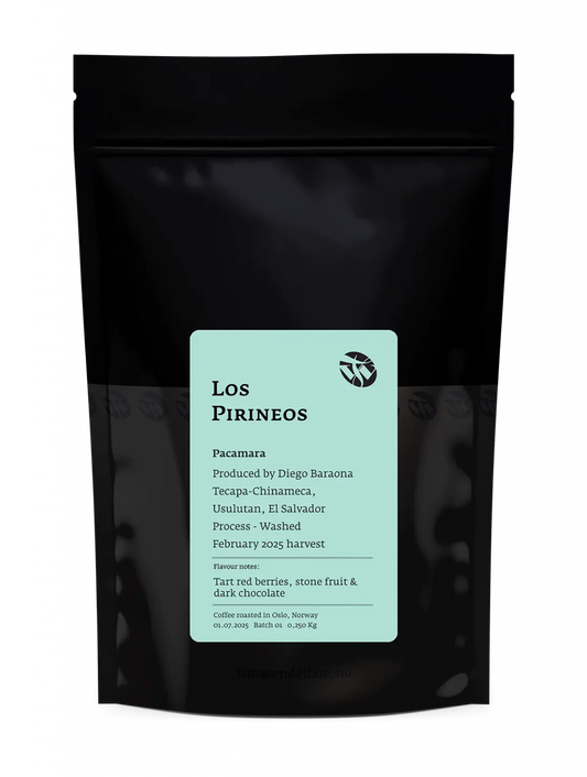 Tim Wendleboe - Los Pirineos Pacamara- 250g