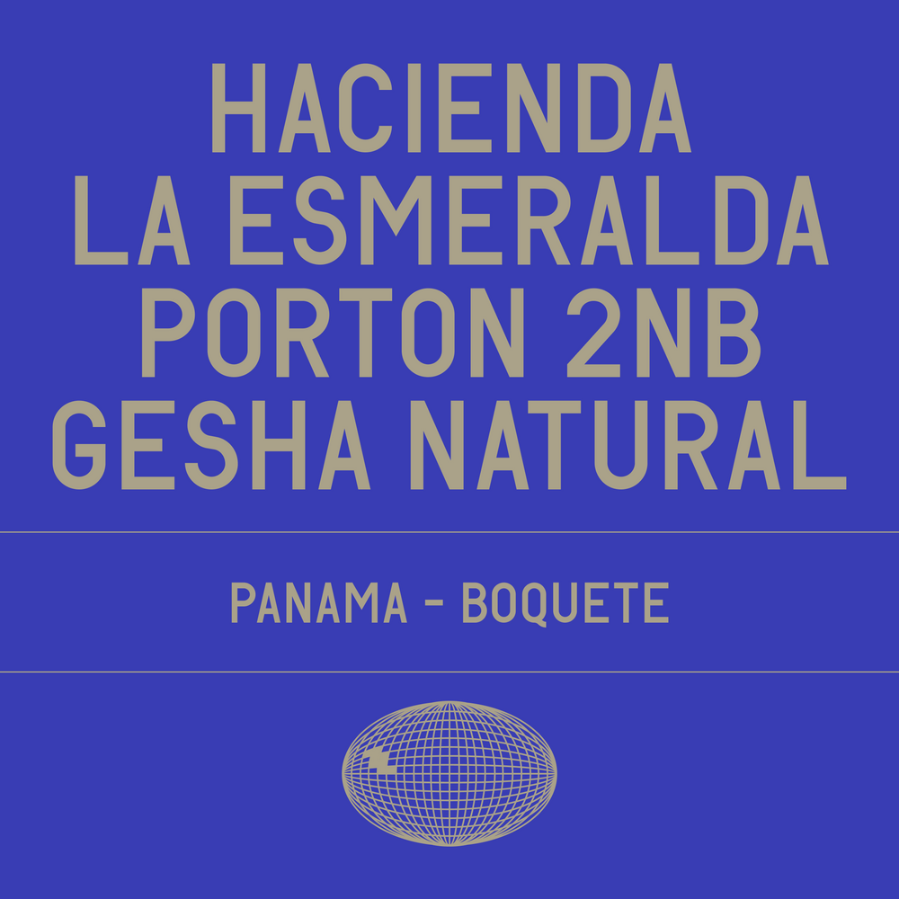 Datura - Hacienda La Esmeralda Porton 2NB Gesha Natural - 100g