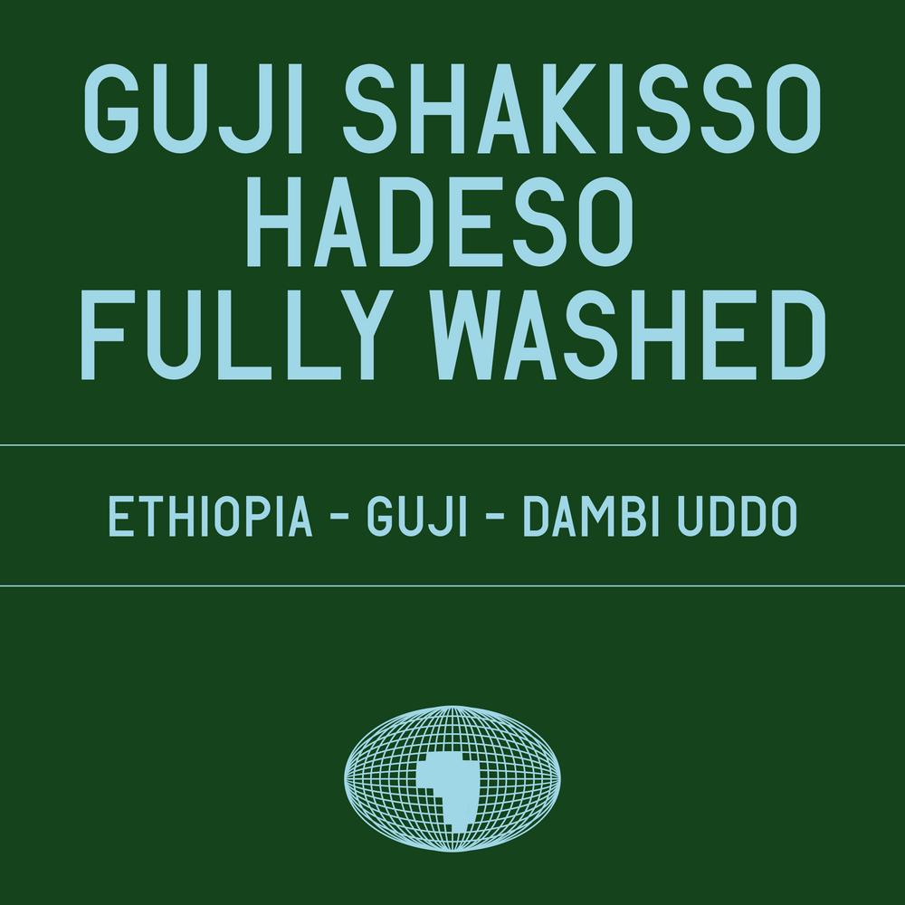Datura - Guji Shakisso Hadeso Fully Washed