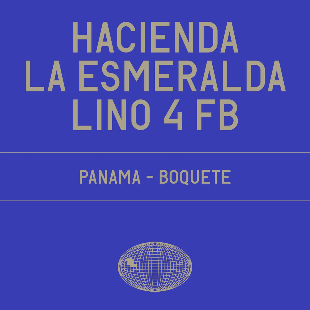 Datura - Hacienda La Esmeralda Lino 4 FB Gesha Washed - 100g