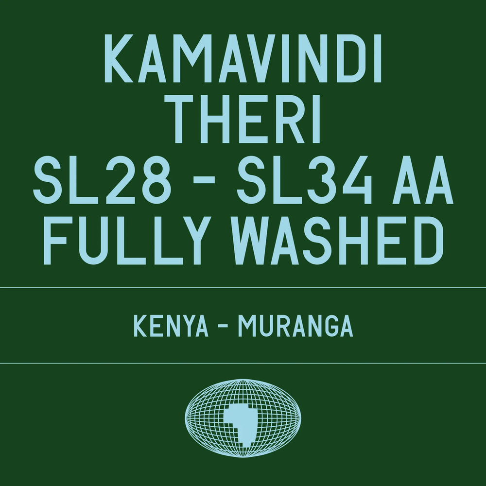 Datura - Kamavindi - Theri SL28, SL34 AA - 200g