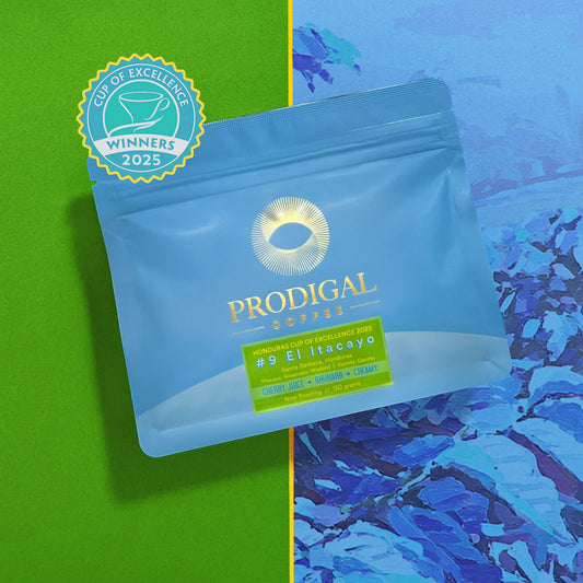 *NEW* Cup of Excellence Honduras #9 El Itacayo Geisha - Anaerobic Washed