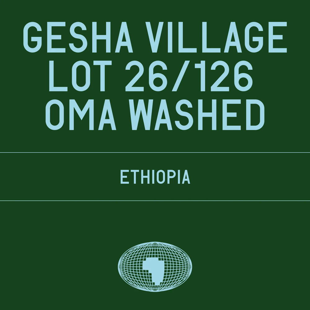 Datura - Gesha Village Lot 26/126 Oma Washed