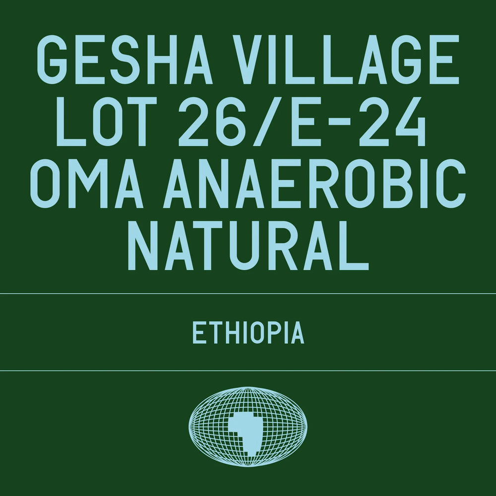 Datura - Gesha Village Lot 26/E-24 Oma Anaerobic Natural