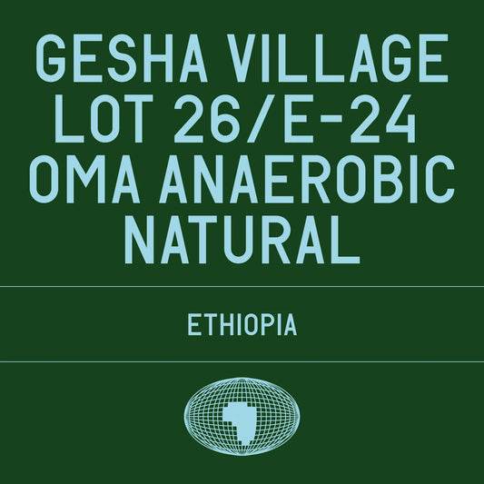 Datura - Gesha Village Lot 26/E-24 Oma Anaerobic Natural
