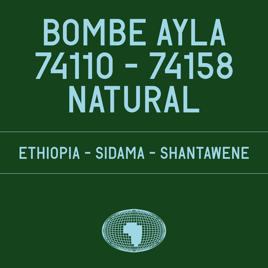 Datura - Bombe Ayla 74110-74158 Natural