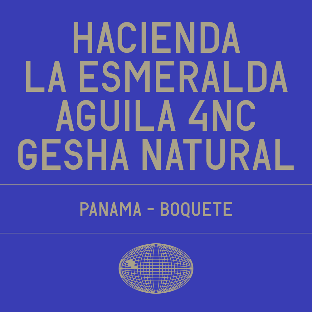 Datura - Hacienda La Esmeralda Aguila 4NC Gesha Natural - 100g