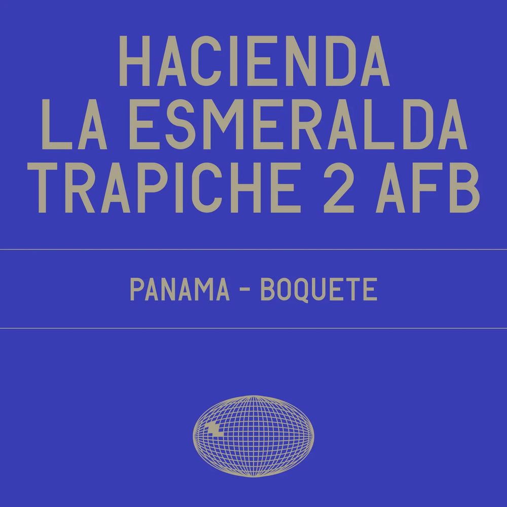 Datura - Hacienda La Esmeralda Trapiche 2 AFB Gesha Washed - 100g