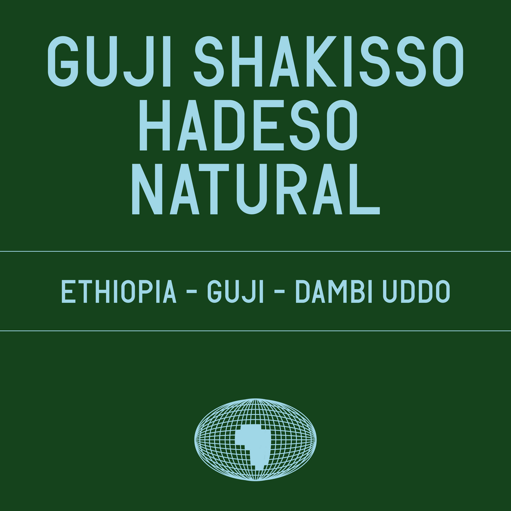 Datura - Guji Shakisso Hadeso Natural