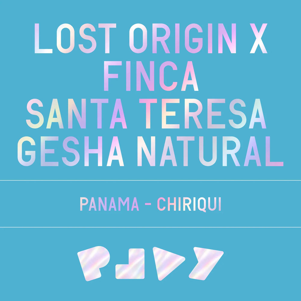 Datura - Lost Origin X Finca Santa Teresa Gesha Natural - 100g
