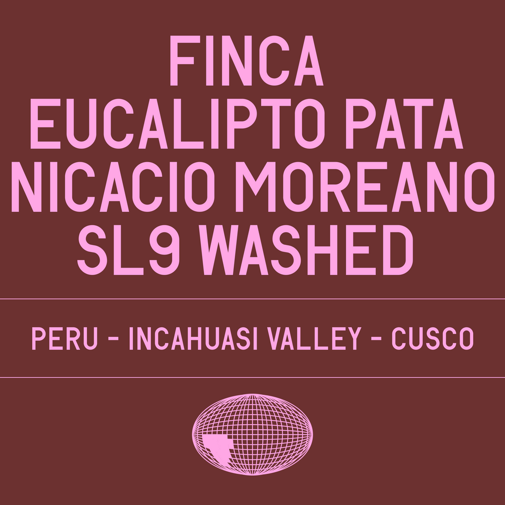 Datura - Finca Eucalipto Pata - Nicacio Moreano SL9 Washed