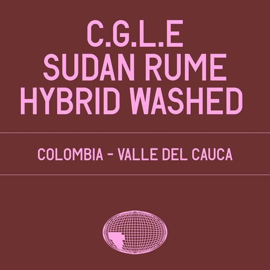 Datura - C.G.L.E Hybrid Washed - 100g