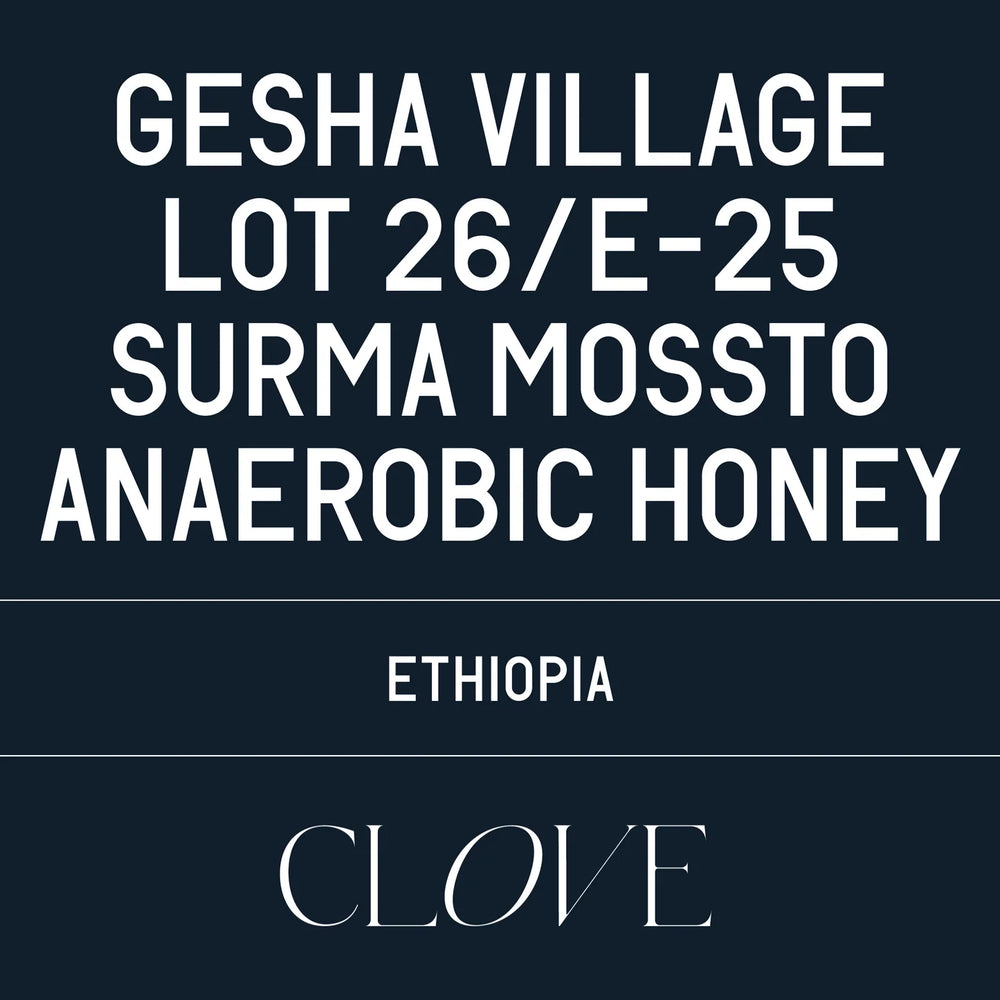 Datura - Gesha Village Lot 26/E-25 Surma Mossto Anaerobic Honey
