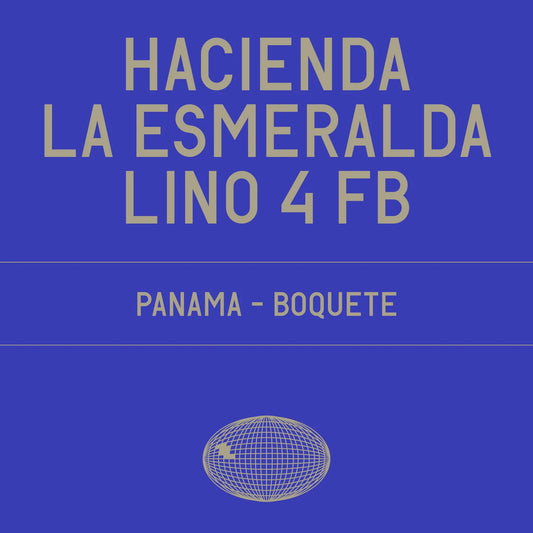 Datura - Hacienda La Esmeralda Lino 4 FB Gesha Washed - 100g