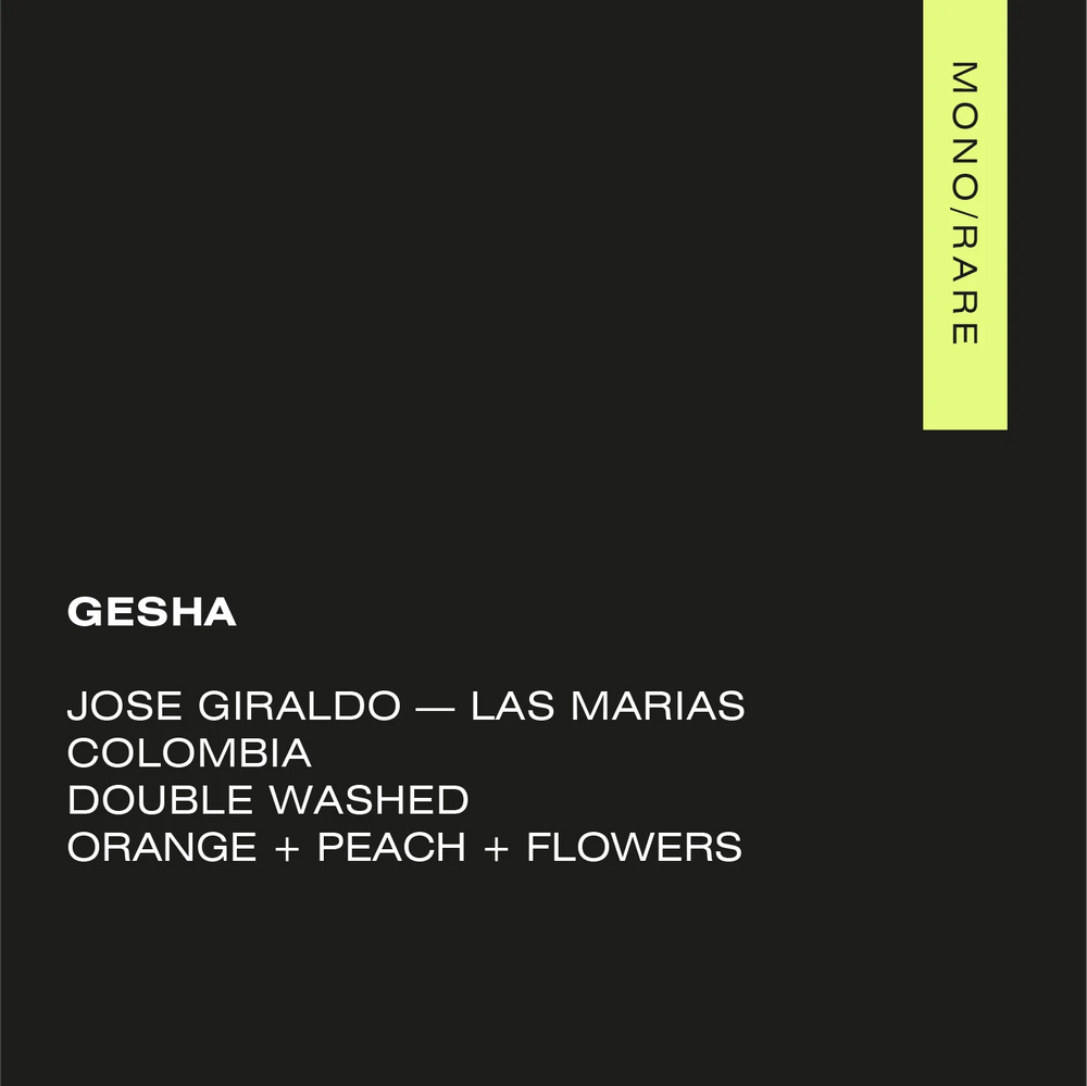 A.M.O.C. - GESHA Colombia — Las Marias