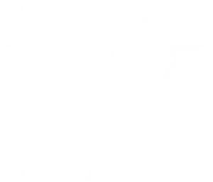 Tim Wendelboe Logo