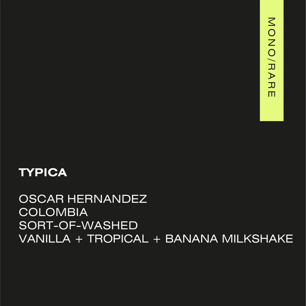A.M.O.C. - TYPICA Colombia – Nogales