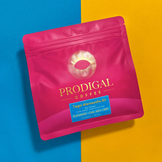 Prodigal - Tagel Alemayehu G1 - 250g